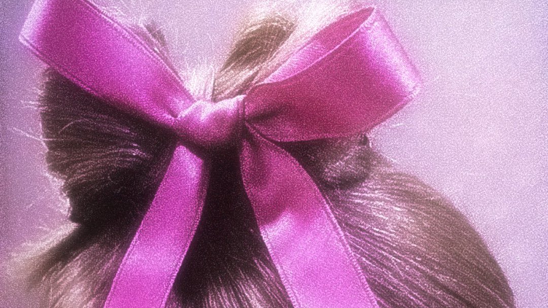 coquette girl  ︵‿୨🩷୧‿︵