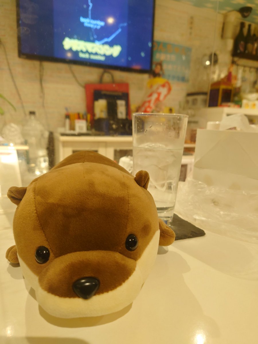 co_co_19's tweet image. 久しぶりの #Seeka