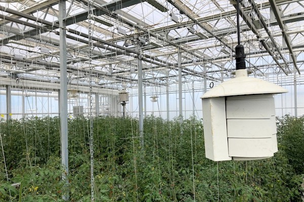 Registration open for "Introduction to Greenhouse Environmental Control" online course
hortidaily.com/article/958798…