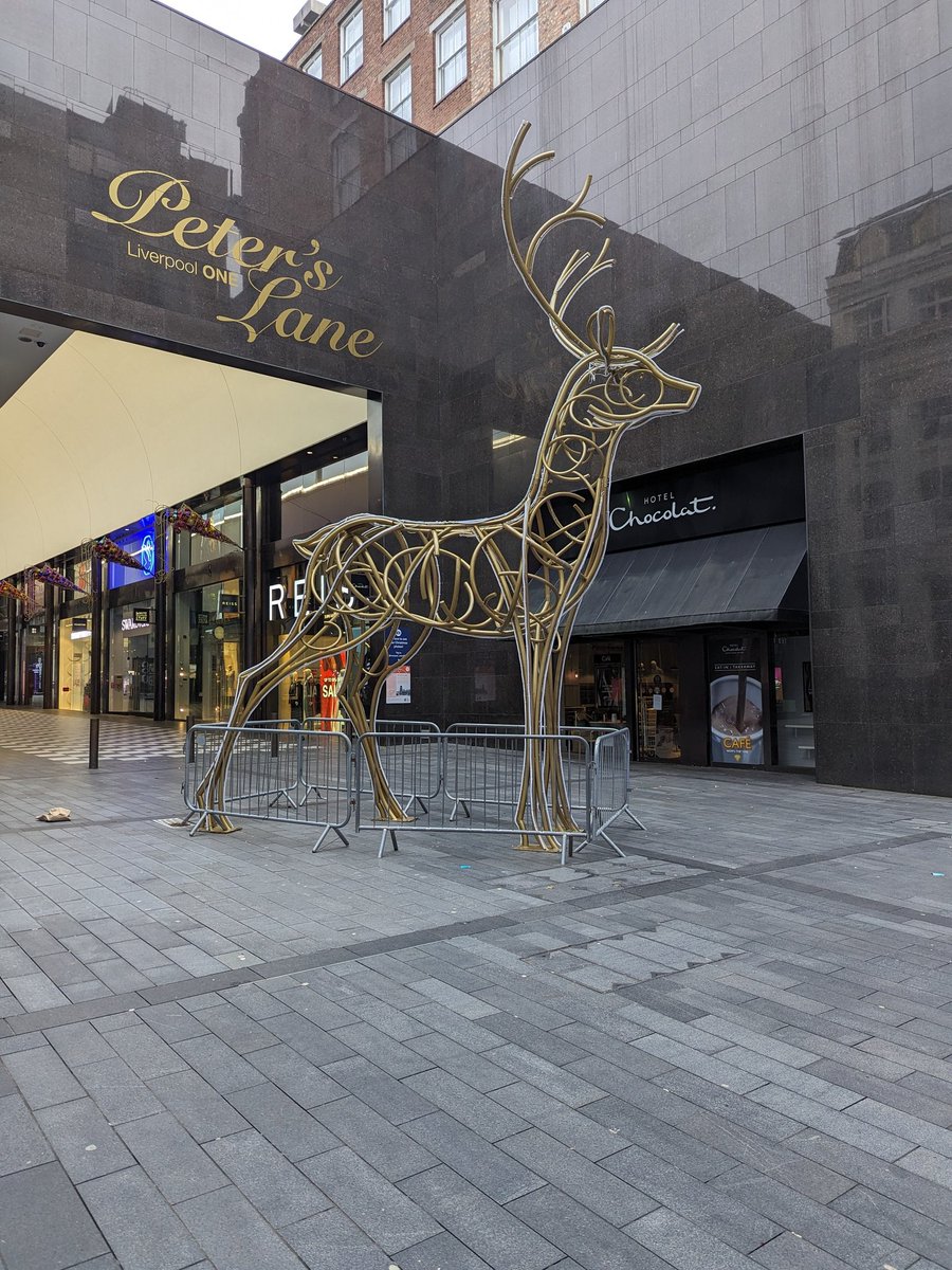 Dornu Lebari tweet media