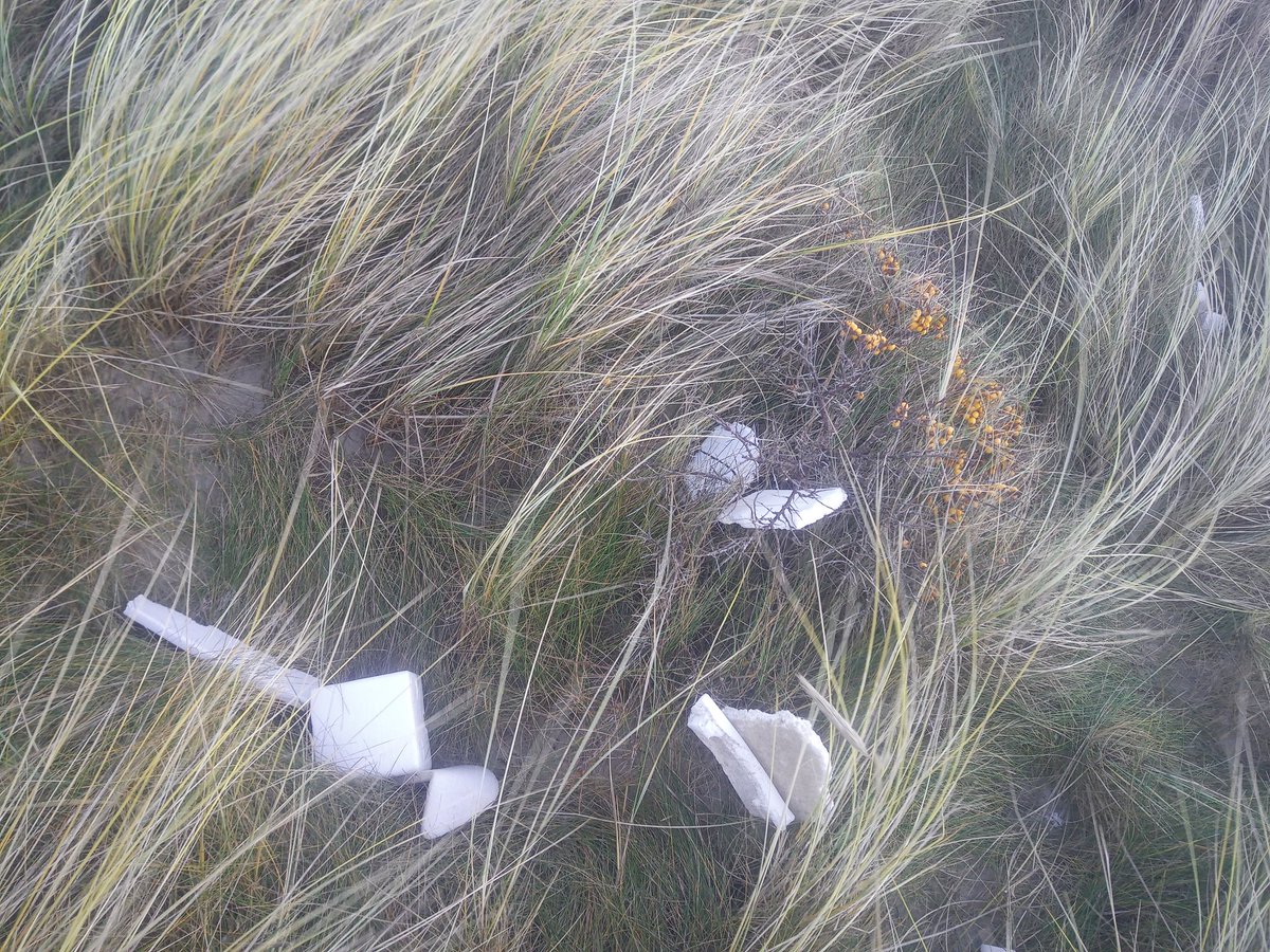 Frank Erichsen tweet media