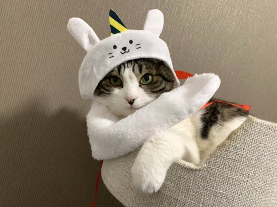 今年は何もしないから去年のクリスマスの日記