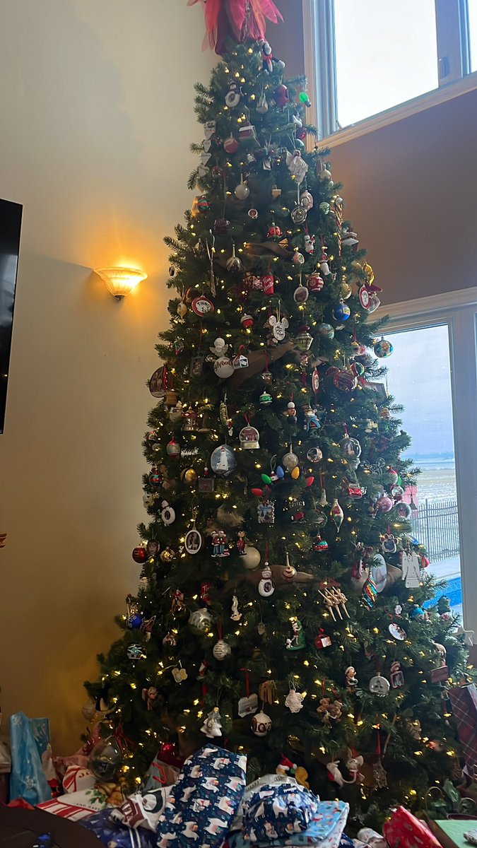 Wishing everyone a Merry Christmas and a happy New Year ! 🎄