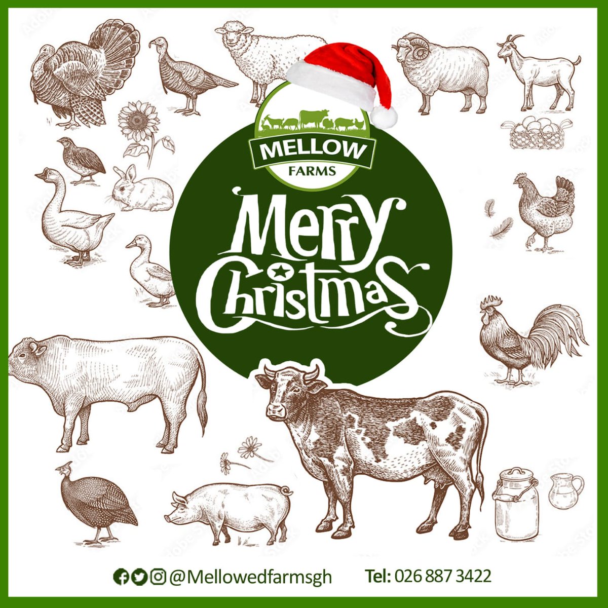 On behalf our Management and lovely Staff we wish all our cherished patrons and prospective patrons a Merry Christmas and a Happy New Year.

#merrychristmas
#MellowFarmsGH