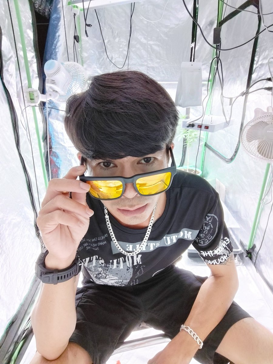 Chan Chokpiwat tweet media