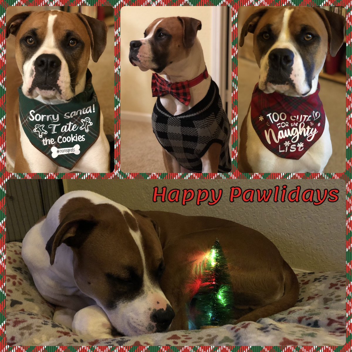 Tucker and I hope you are having a good holiday season