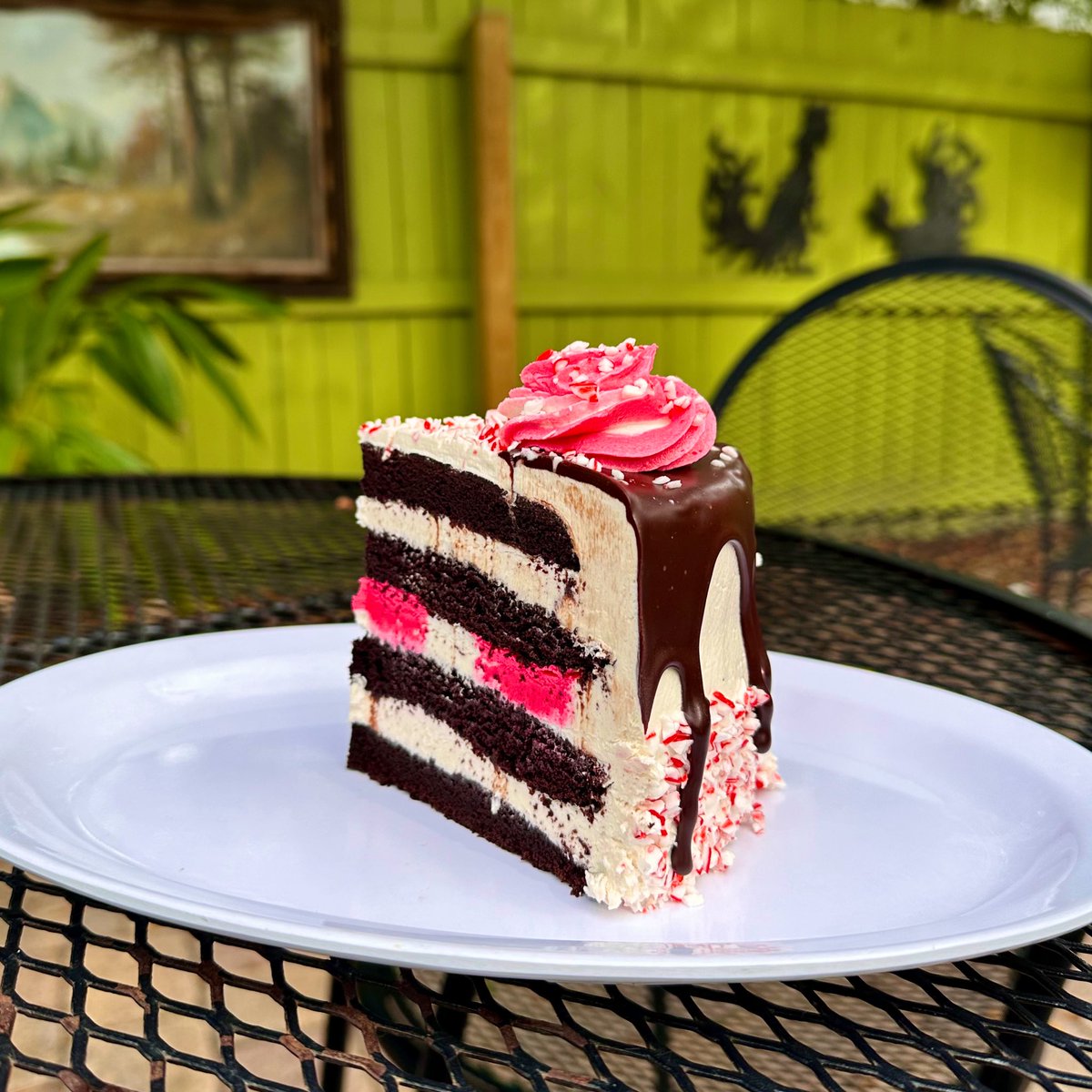 simplyseitanic's tweet photo. happy horror days 🎅

check out this vegan 🌱 peppermint chocolate cake I made 🍫🎄 https://t.co/1wKzZMJq6B