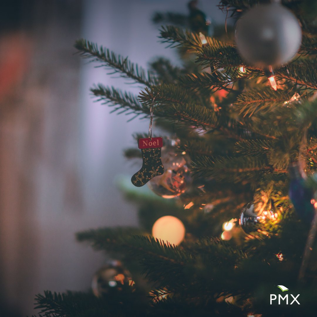 Happy Christmas from the team at PMX! 🎄