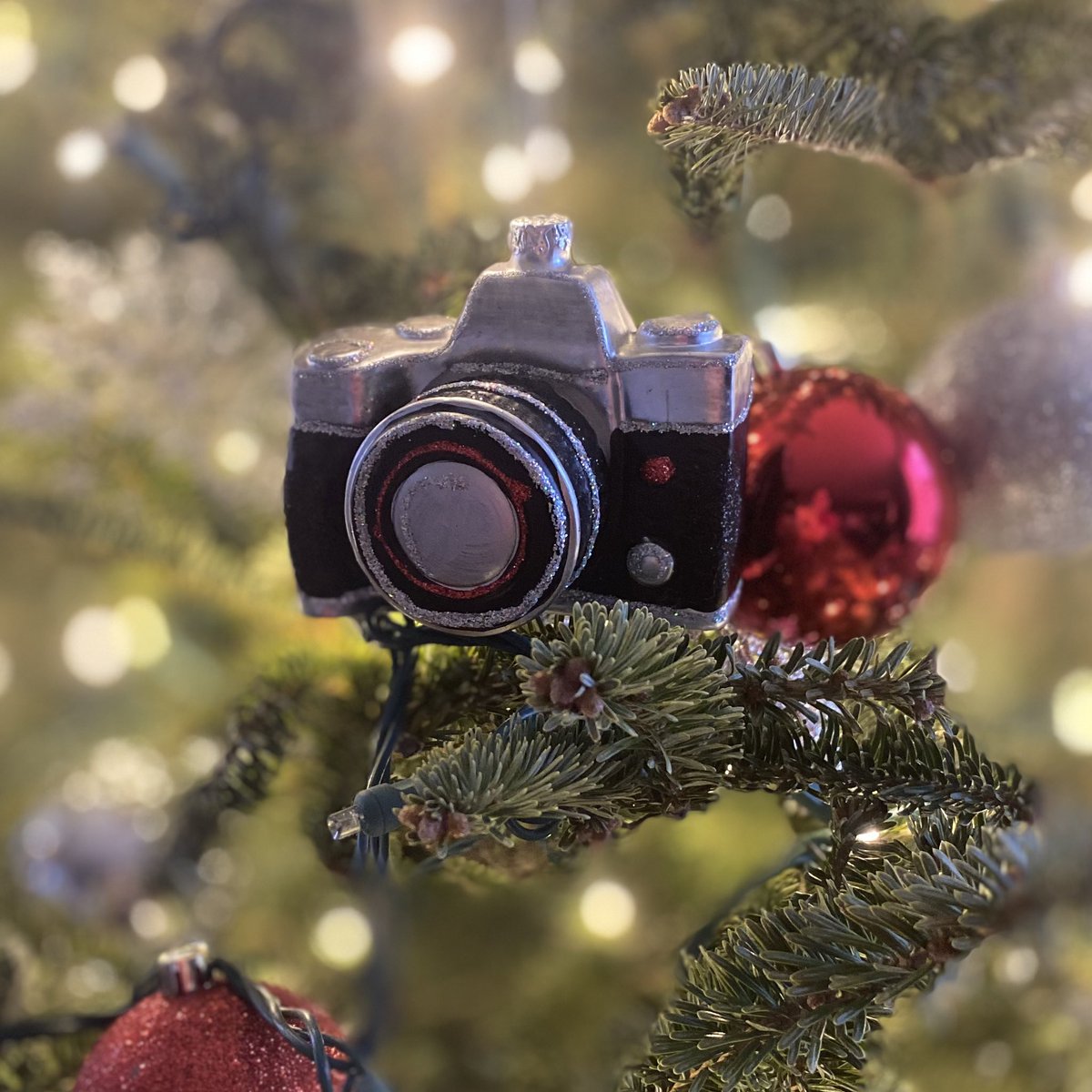 Merry Christmas to all! ❤️🎄📸