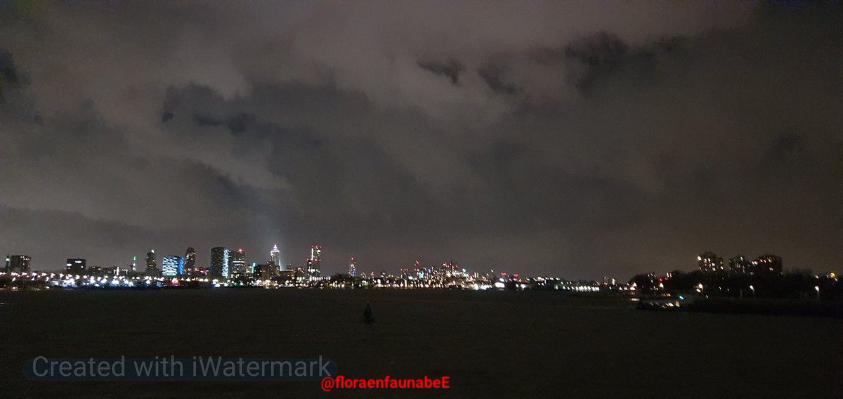 Iedereen fijne #kerstdagen en een mooie #jaarwisseling gewenst vanuit het mooie en bijzondere natuurgebied #EilandvanBrienenoord met een geweldige uitzicht op de skyline van #Rotterdam