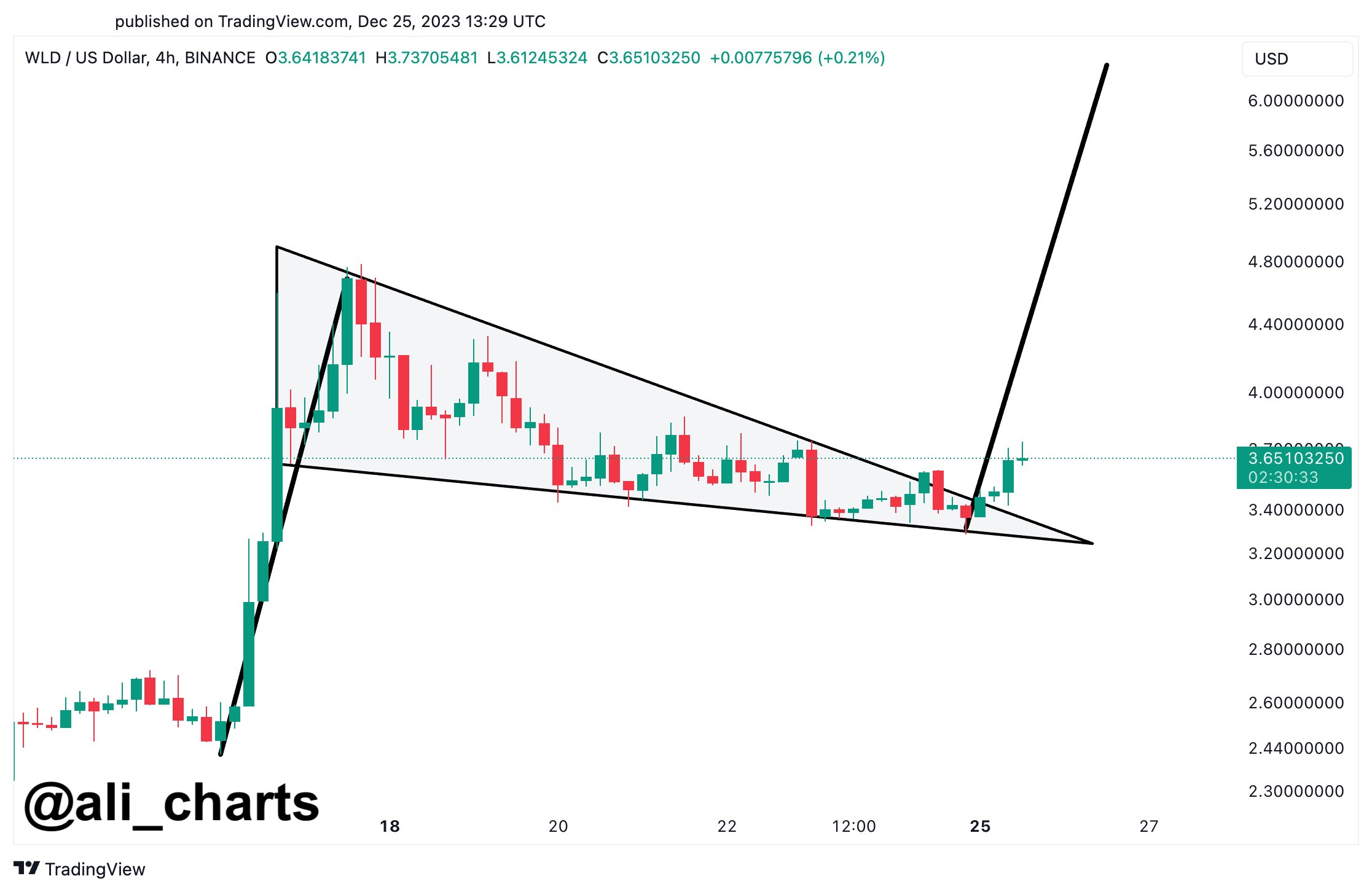 Worldcoin Bull Flag