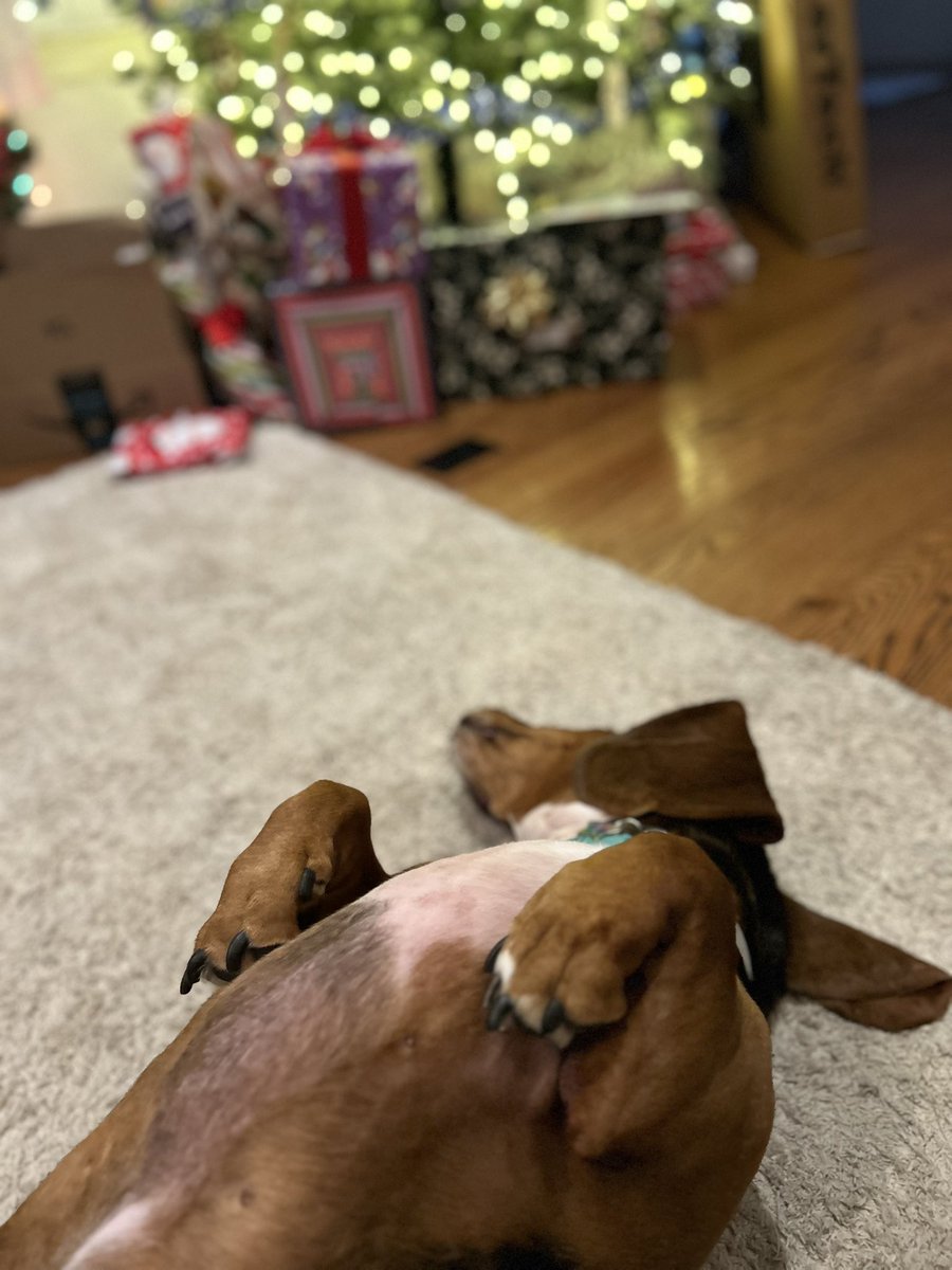 Merry Christmas! Santa came to town!