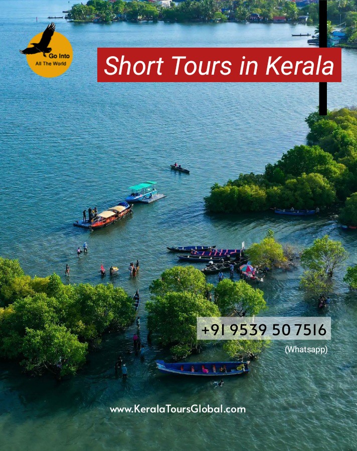 joshiflabour's tweet photo. Short Tours in Kerala (India) via https://t.co/ko4WEtX9gp 

+91 9539 50 7516 (Whatsapp)

KeralaToursGlobal@gmail.com

#KeralaToursGlobal #incredibleIndia #KeralaTourism #Kovalam #Alappuzha #Houseboat #KeralaTour #Kerala #Thekkady #Munnar #Kochi #muscat #riyadh #Hyderabad #mumbai https://t.co/9cUonDKSwA