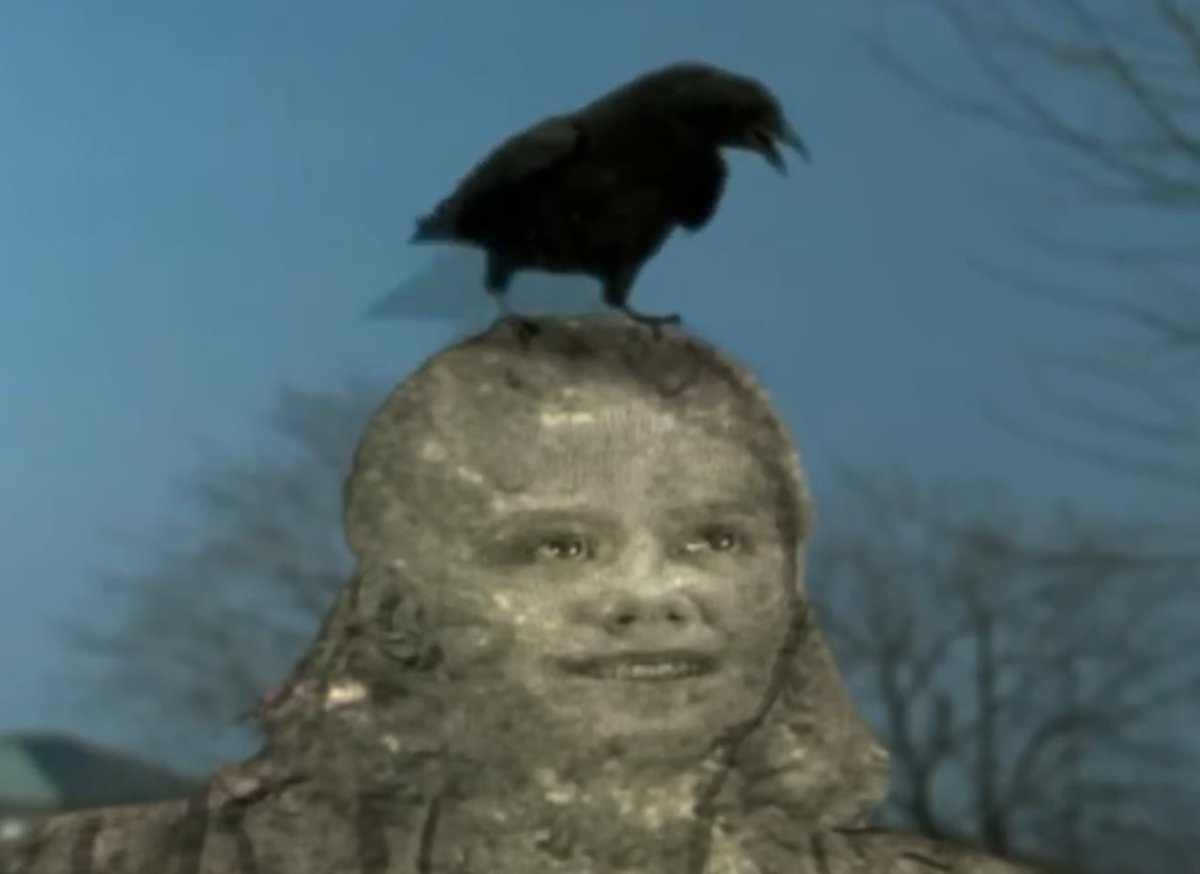 You Can't Scare Me! 👻 tweet media