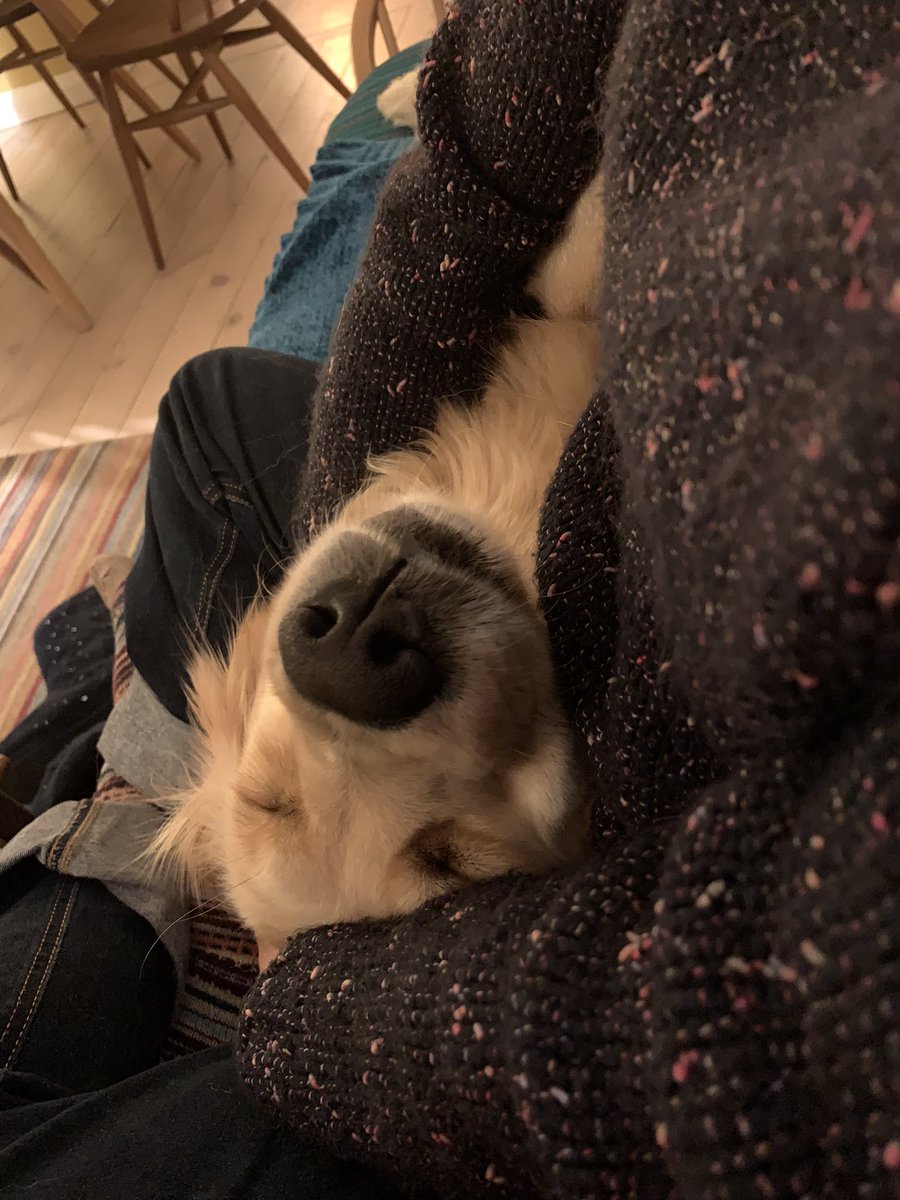 emma greengrass tweet media