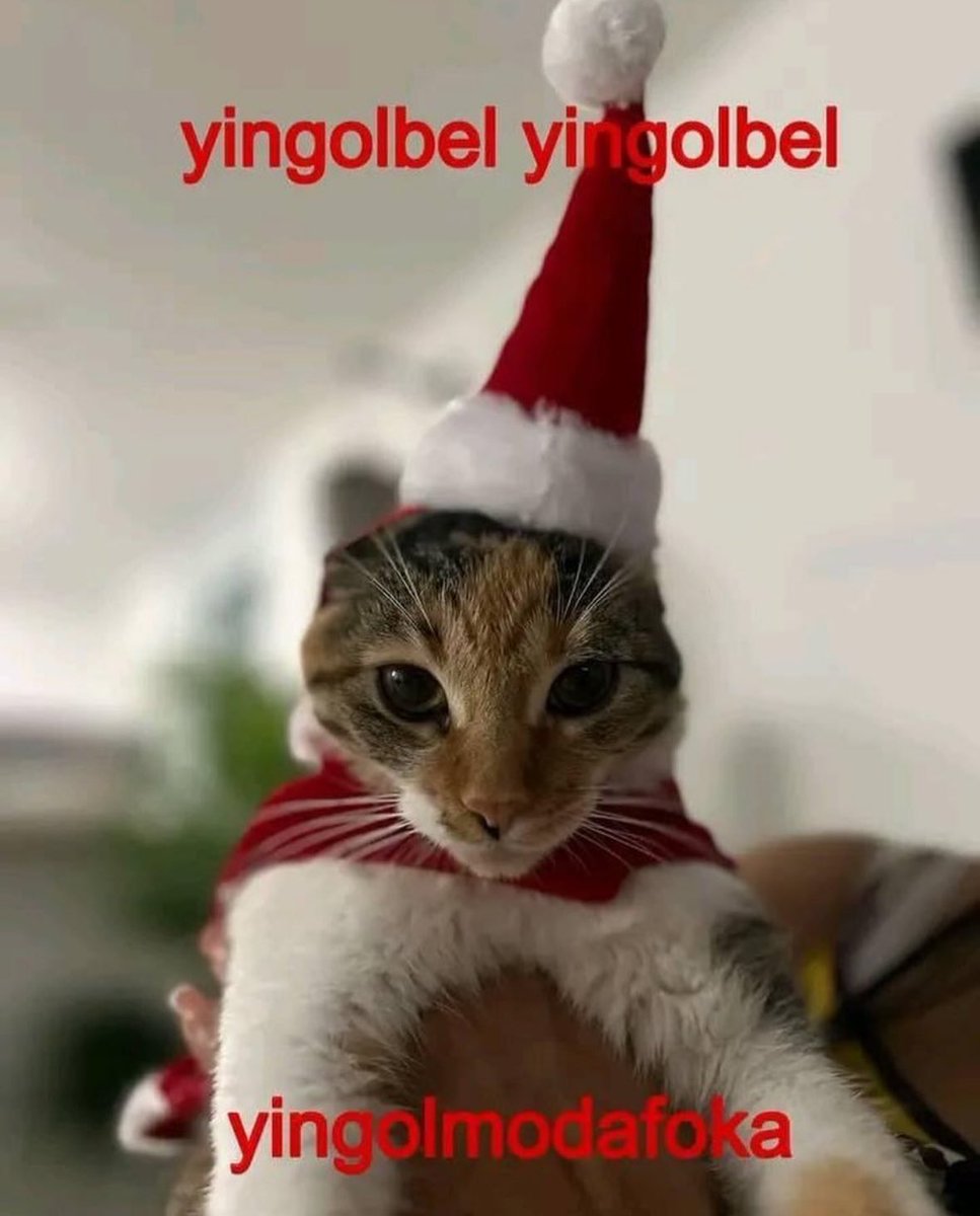 nuriape__'s tweet photo. nadie:
yo todas las navidades: https://t.co/ZewKLPCG7c