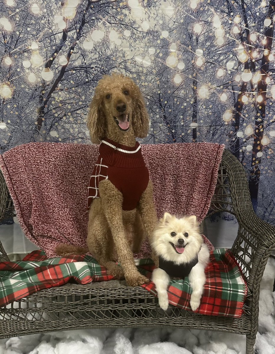 Papi_Longlegs69's tweet photo. Merry Christmas! 🎅🏼🧑🏻‍🎄 https://t.co/Ed2Sv09Gf5