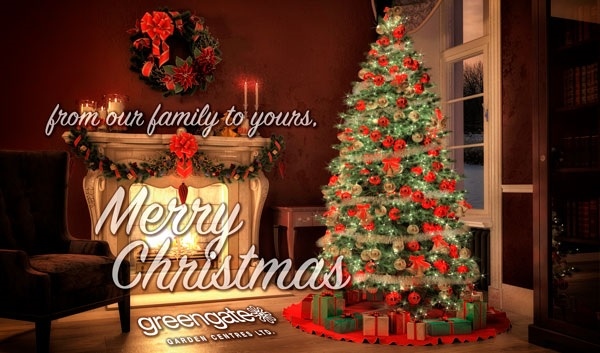 greengategarden's tweet photo. Always and forever, we thank you very much for thinking of us. From all of us here at greengate Garden Centres we wish you a fabulous Holiday Season. #MerryChristmas #HappyHolidays https://t.co/DU9HYSqPmL