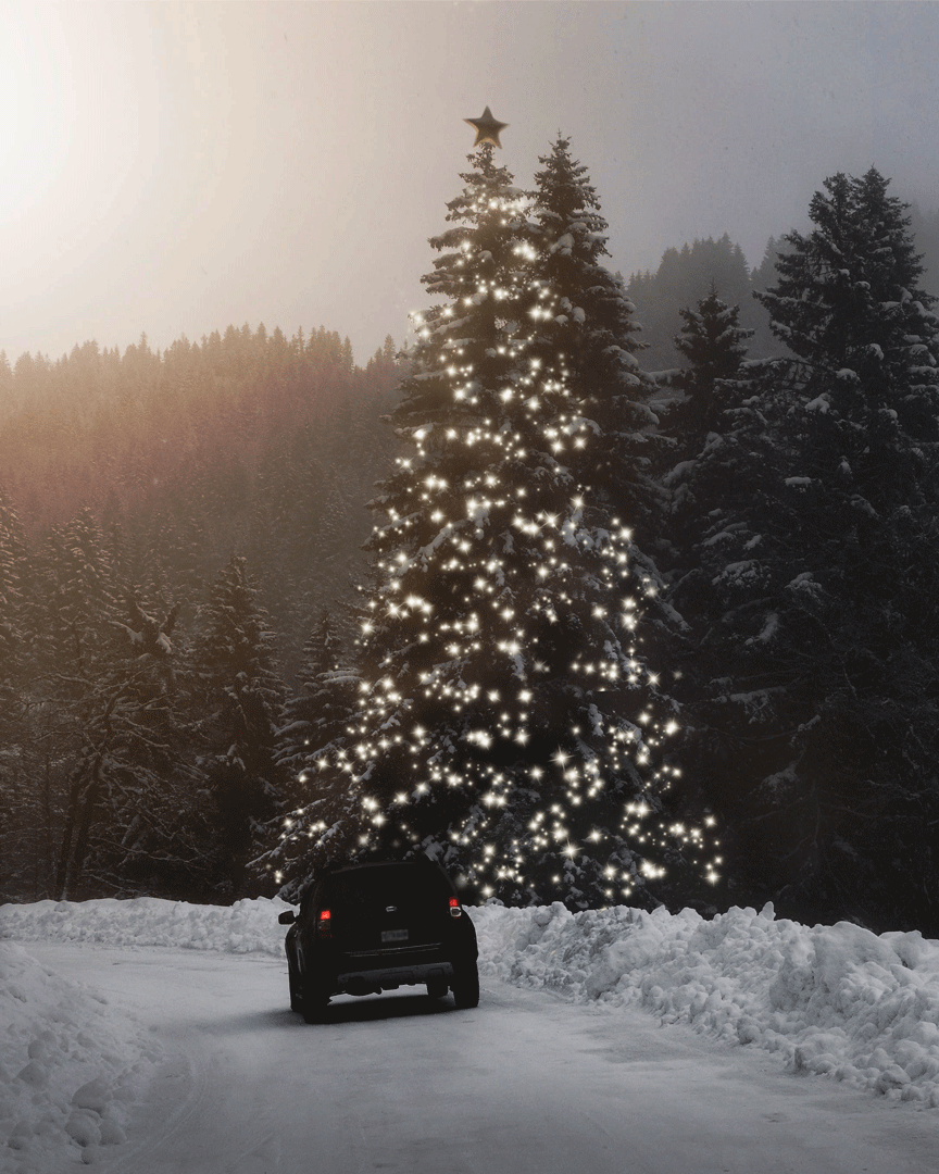 interstatebatts's tweet image. Merry Christmas and happy holidays from all of us at #TeamInterstate! 🎄🎁