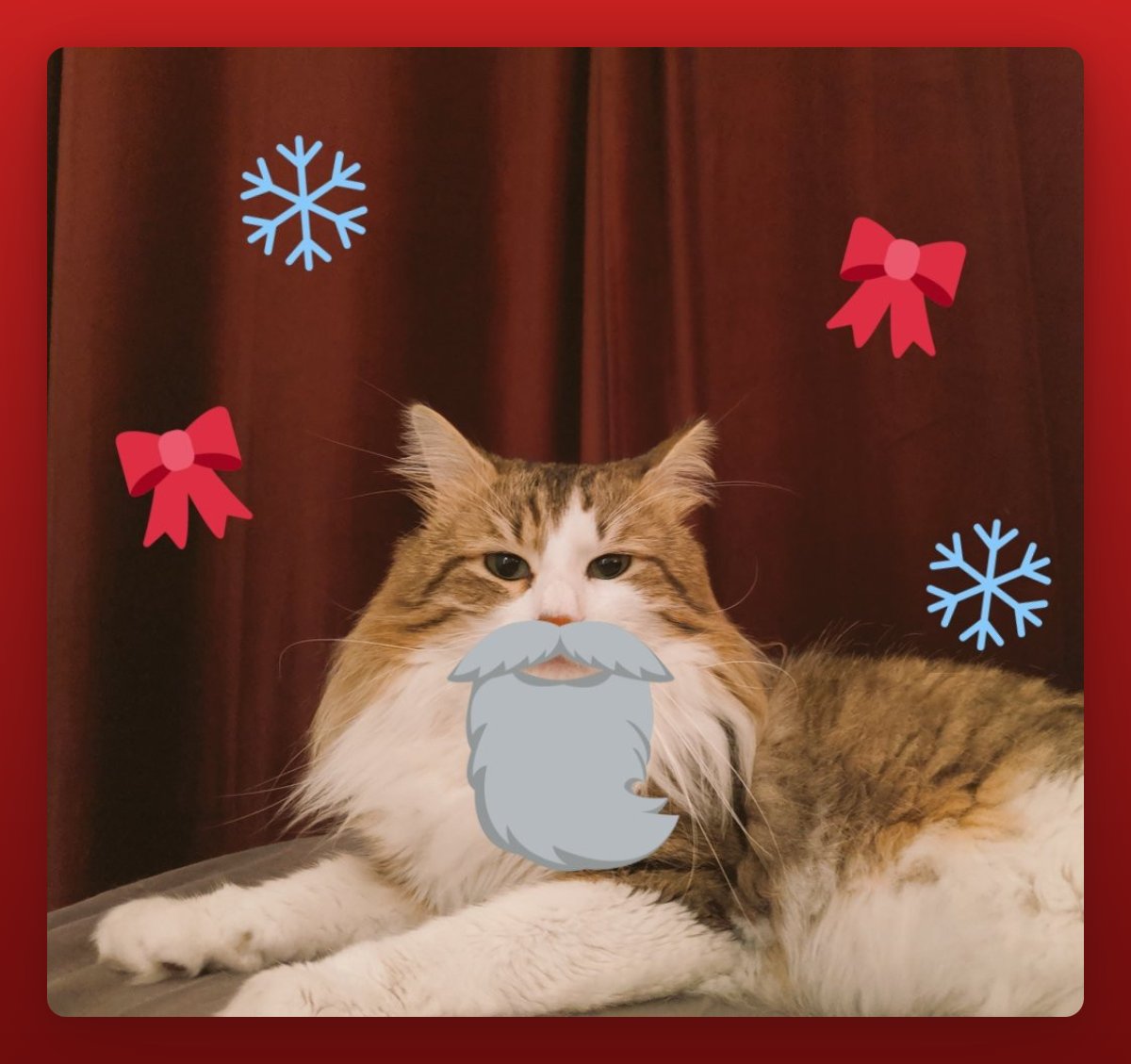 PinkBeanStudio's tweet photo. Ho ho ho! It's #Christmas time! π
Santa @Jekyllou is happy to share with you his special playlist on #Songswipe for this special day!
We hope you'll enjoy it and wish you a merry Christmas and a happy new year! β¨
Link available just below! π https://t.co/A1DKO4vqW1