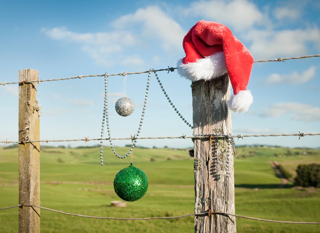 _NatGLC's tweet image. Wishing you a Merry Christmas from the fields to your home! May your holidays be filled with the warmth of family, the joy of the season, and greener pastures in the coming spring.