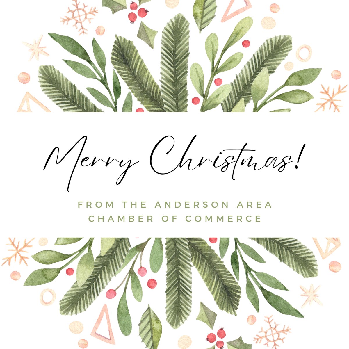 The Anderson Area Chamber of Commerce wishes you and your family a very Merry Christmas! 🎄🎅