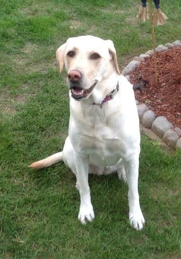 Happy birthday to Skylar!