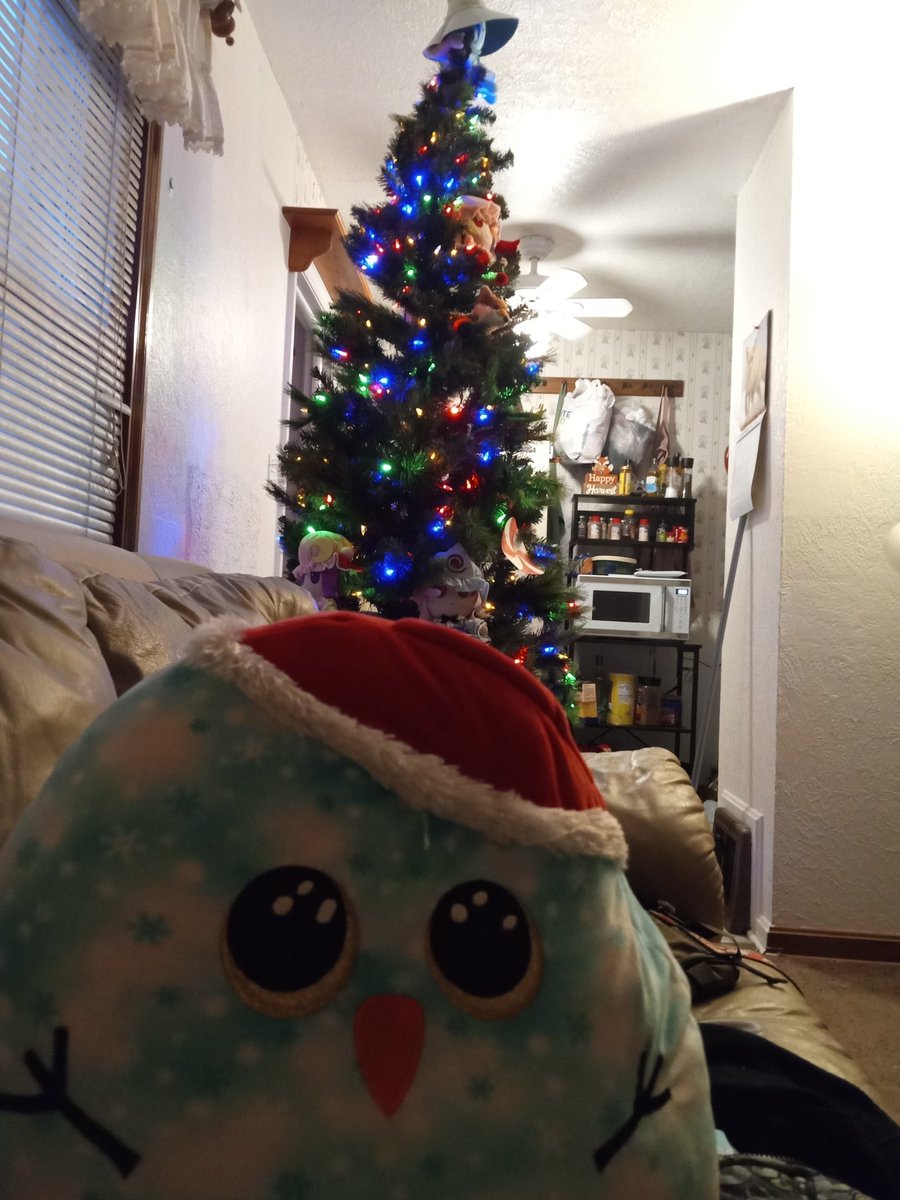 Merry Christmas to those who celebrate. This can be a tough time for those with C-PTSD and DID, so I hope everyone takes good care of themselves this holiday season. Heres Fleck Chrimby.