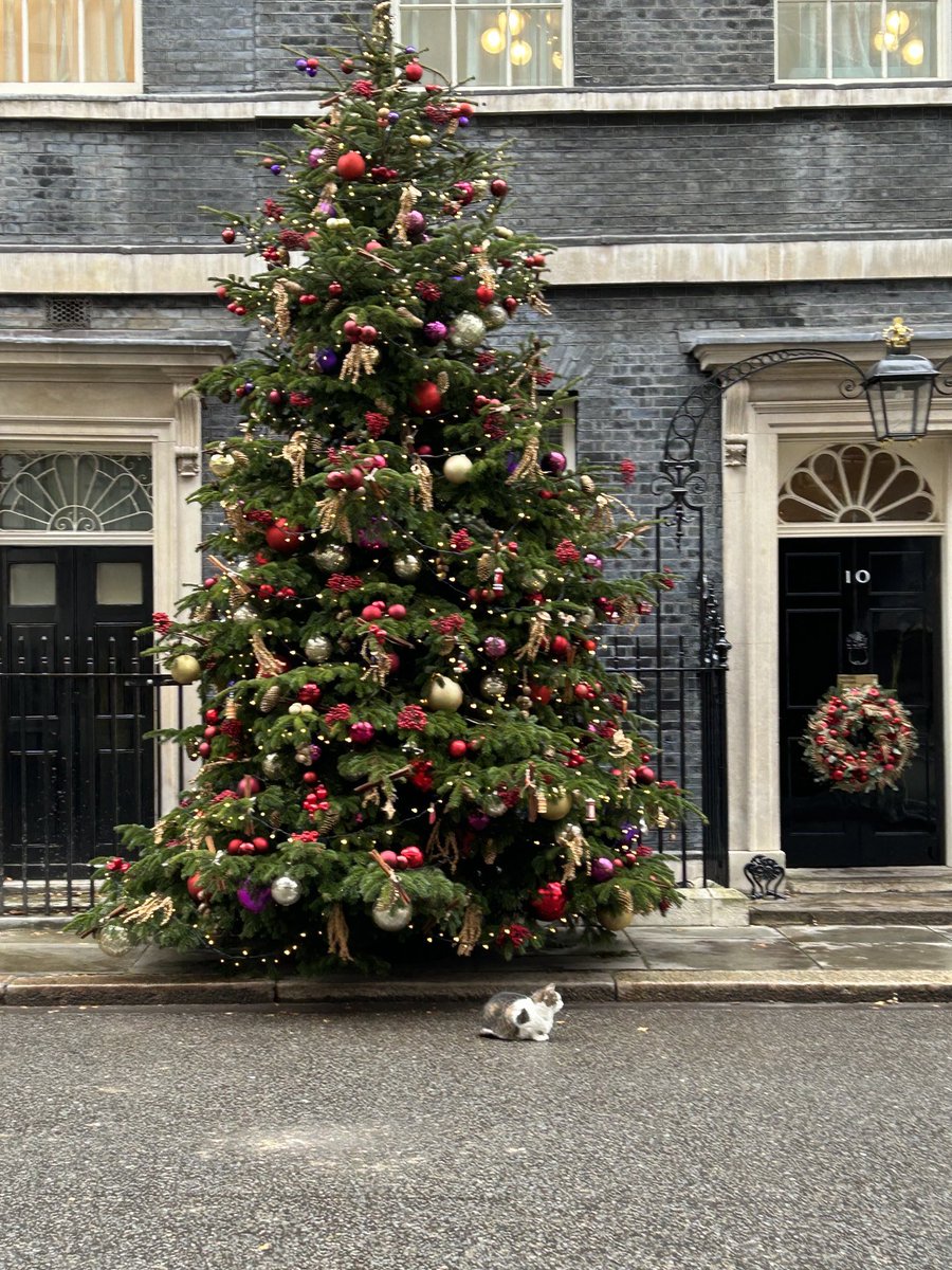 Wishing all my friends who are celebrating Christmas around the world a happy and peaceful day. Please reply with pictures of your cats (or other animals) joining in with the festivities for all my followers to enjoy. (Photo @PoliticalPics)
