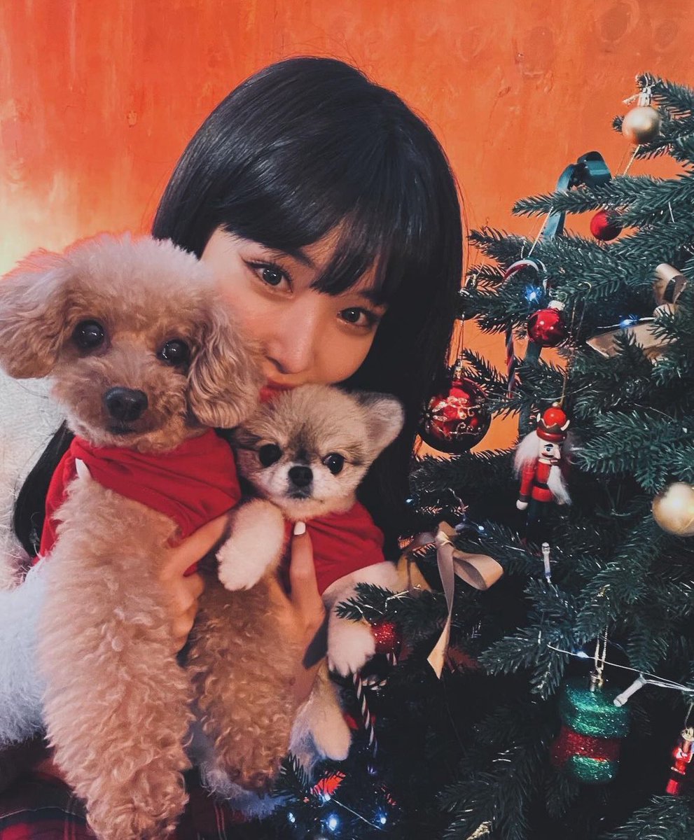 kchunghapics's tweet photo. merry christmas from ABC family 🥰🎄 https://t.co/qjBd0SGMjH