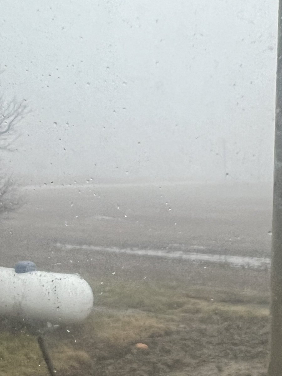 How fast does vom grow in the field in 50 degree temps with 3 days straight of fog? Asking for a friend
