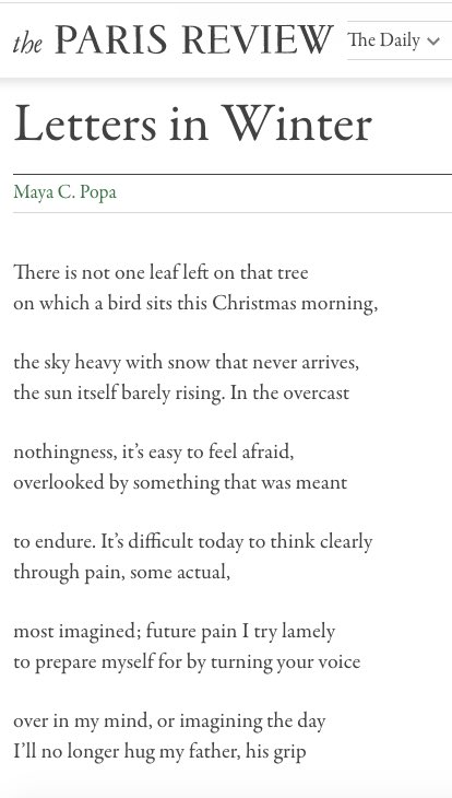 MayaCPopa's tweet photo. Merry Christmas, friends. Live in the moment. 

AND, here is my Christmas poem about imagining future grief, while still insisting on spring. ✨ https://t.co/RYy6L9PCHd