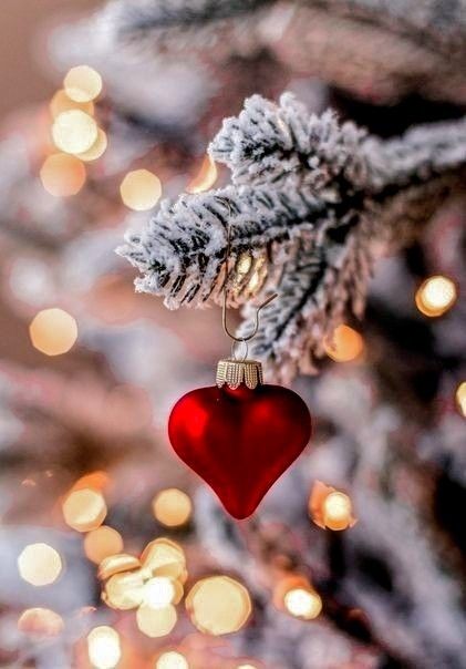 We carry inside us the wonders we seek outside us. ~Rumi❤️ Merry Christmas Everyone..Enjoy your day🎄❤️