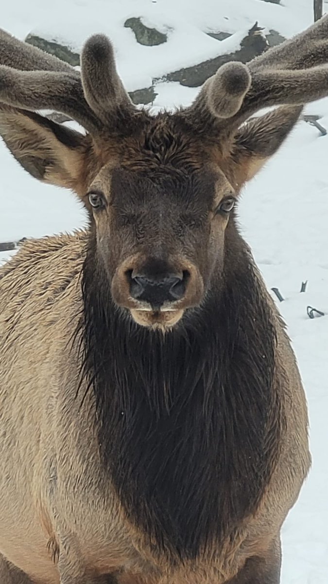 Jody Slatter tweet media