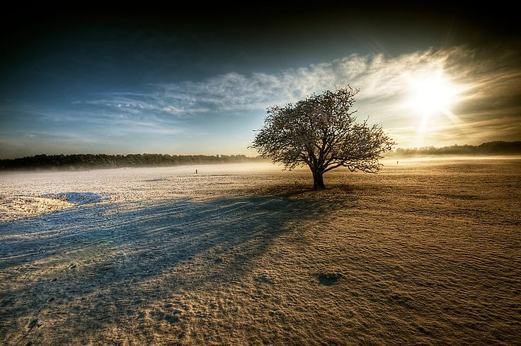 Peace and happiness to all 🍷