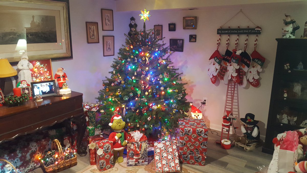 Backyard Adventures tweet media