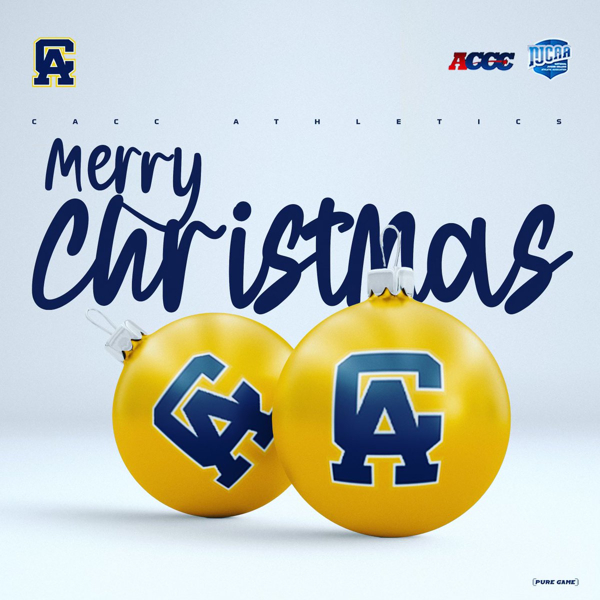 The Real CACC BASEBALL (@caccthe) on Twitter photo 