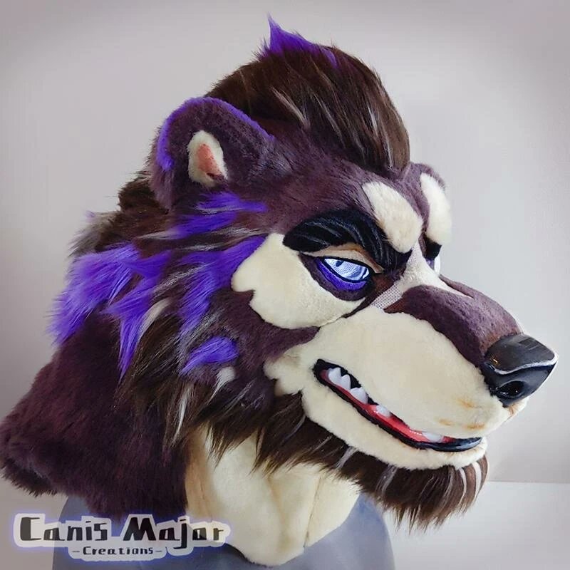 ✨CanisMajor ✨ tweet media