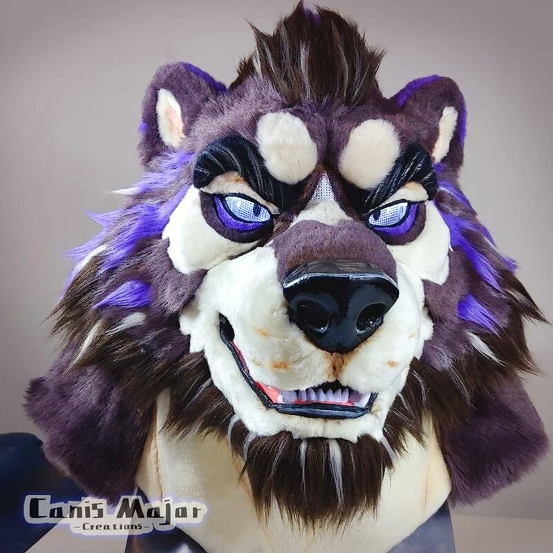 ✨CanisMajor ✨ tweet media