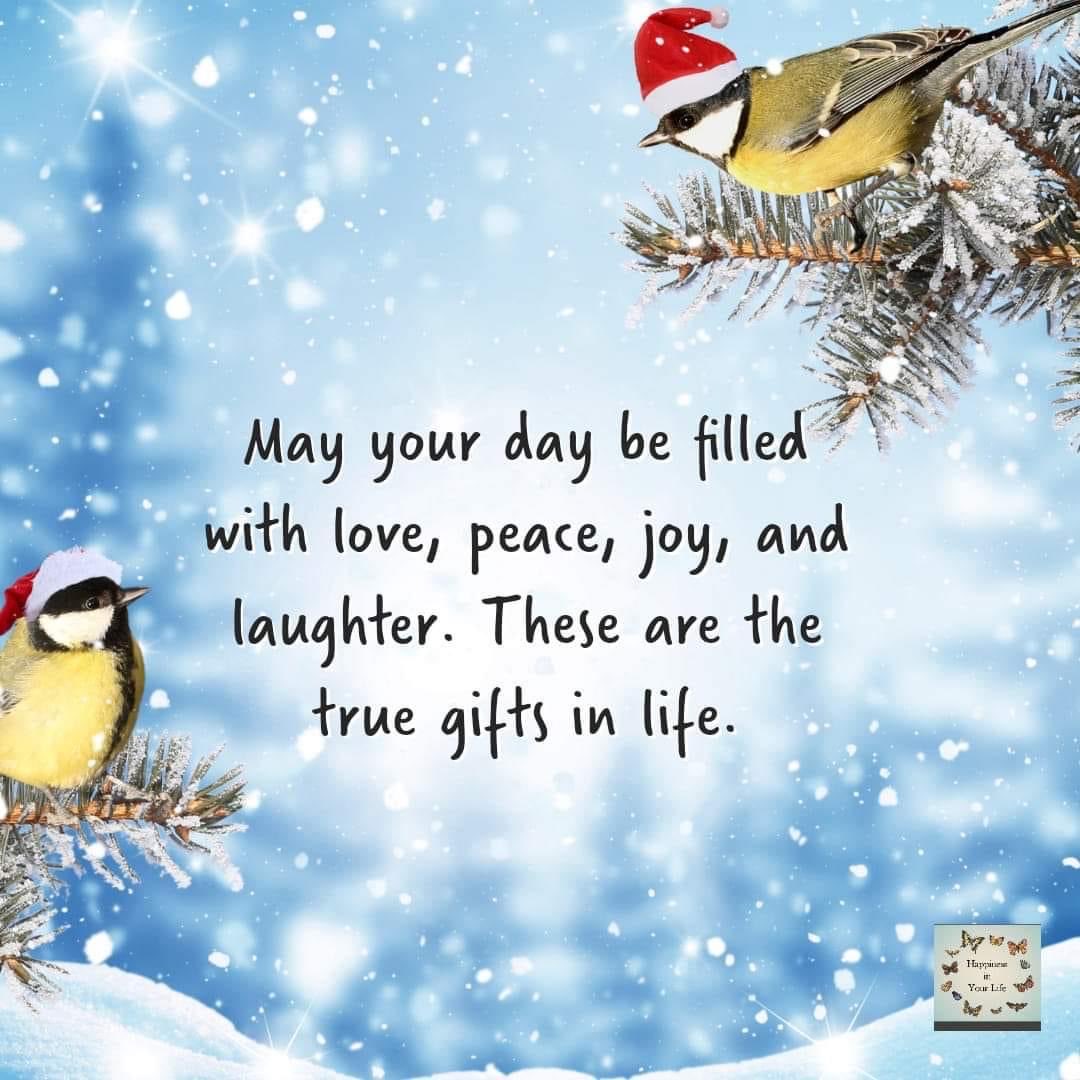 Nancy Falk (@nancyfalk360509) on Twitter photo 