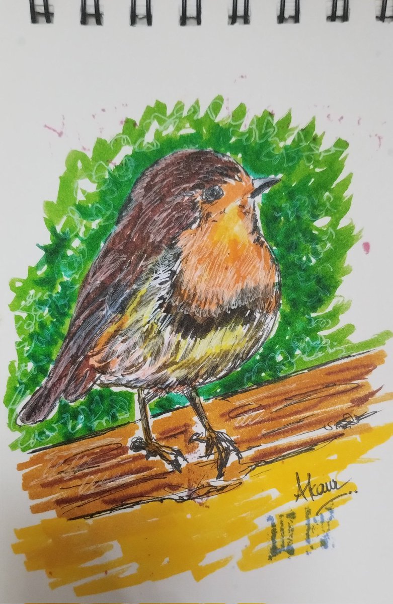 aman_peace2387's tweet photo. Little Birdy
#bird #sketch #drawingart #birdillustration #illustrationart #artist #artgallery #twitterart #artcommunity #camel #camlin #brushtippen #brusheffect https://t.co/1koRuBg05Z