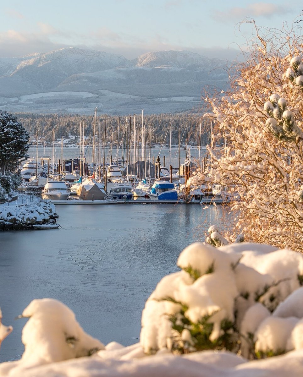 We awoke to a different view today (🌧️☔️), so let's reminisce on this winter scene from last year. ☃️⁠ ⁠ 📍 Comox Marina⁠ 📸 jmacphotobc⁠, Instagram #ExperienceComoxValley