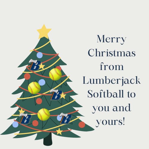 BHS Softball tweet media