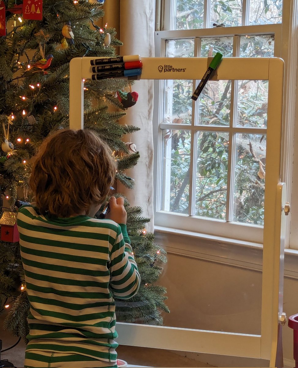 My seven year old wants to be the artist who draws the seasonal scenes on Trader Joe's windows and I fully support this dream so he got a glass easel for Christmas