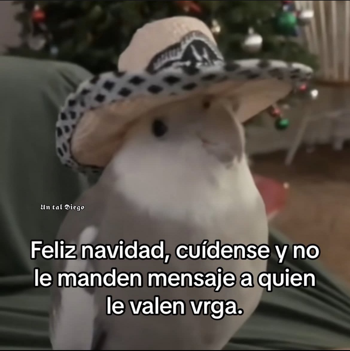 DrGallo4's tweet photo. Vengo a desearles https://t.co/z4PVhEheMx