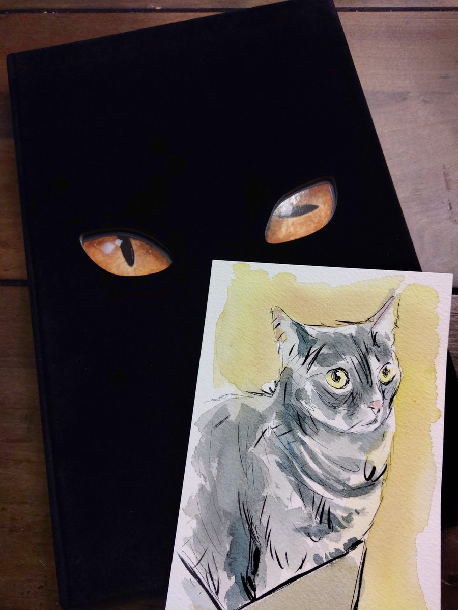 thanosrules's tweet photo. Merriest of Christmases! I absolutely love this @mattkindt watercolor of my dearest cat Kevin! https://t.co/5S5wz1pJbv