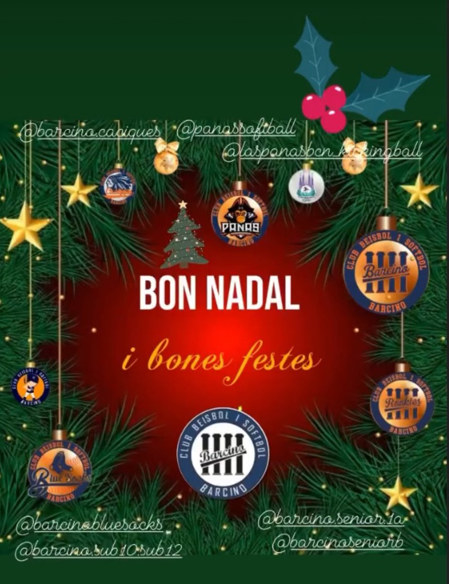 Us volen desitjar a tots unes Bones Festes🎄🎄🎄