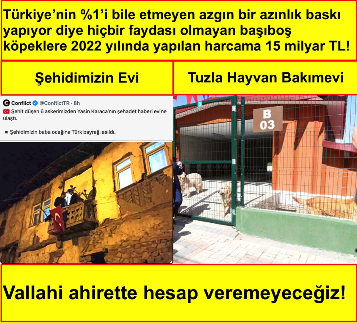 Hiçbir faydası olmayan hatta insan öldüren köpeklere milyarlarca kaynak ayrılıyor…

Bu paralar yoksul vatandaşa aktarılmalı!

  Memur 2 TL'ye Müjdat Gezen Öğretmen Melania Trump 17bin Kurds
