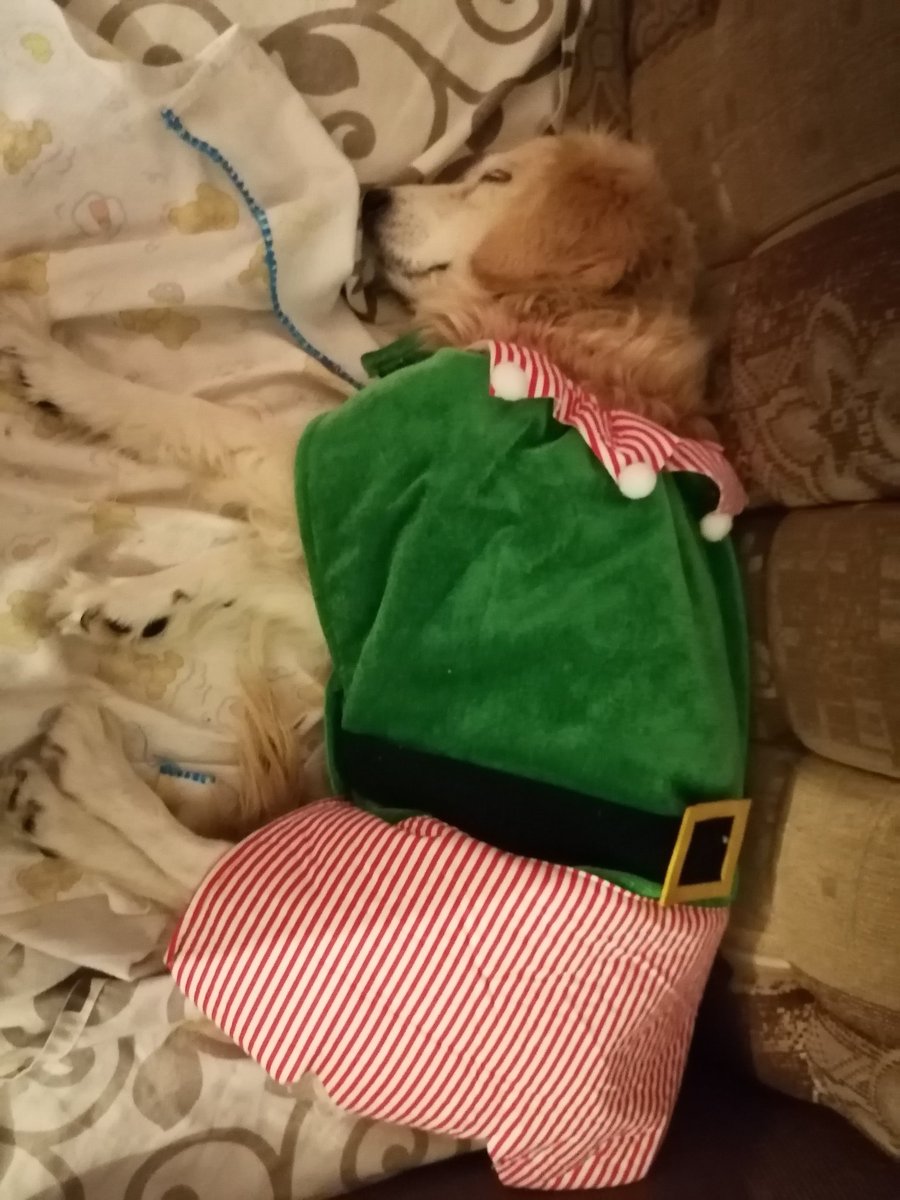 Roa_Redneck's tweet photo. @DiloConPerritos https://t.co/tvQncmnDzW