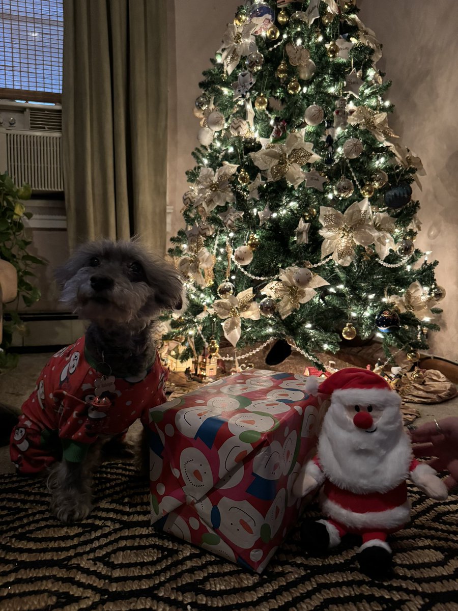 Merry Christmas from Mr. Mullunigan. Mr. Mullunigan <a href="/MMullunigan/">Mr. Mullunigan</a> enjoying his Christmas presents